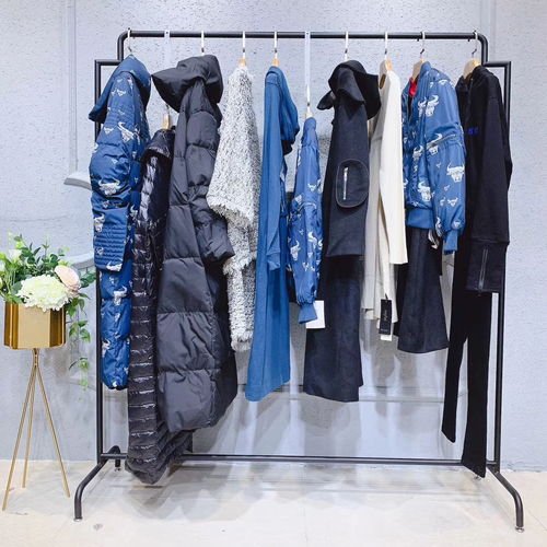 唯愛秋冬裝 達(dá)衣巖女裝新款羽絨服引領(lǐng)北方服裝市場潮流